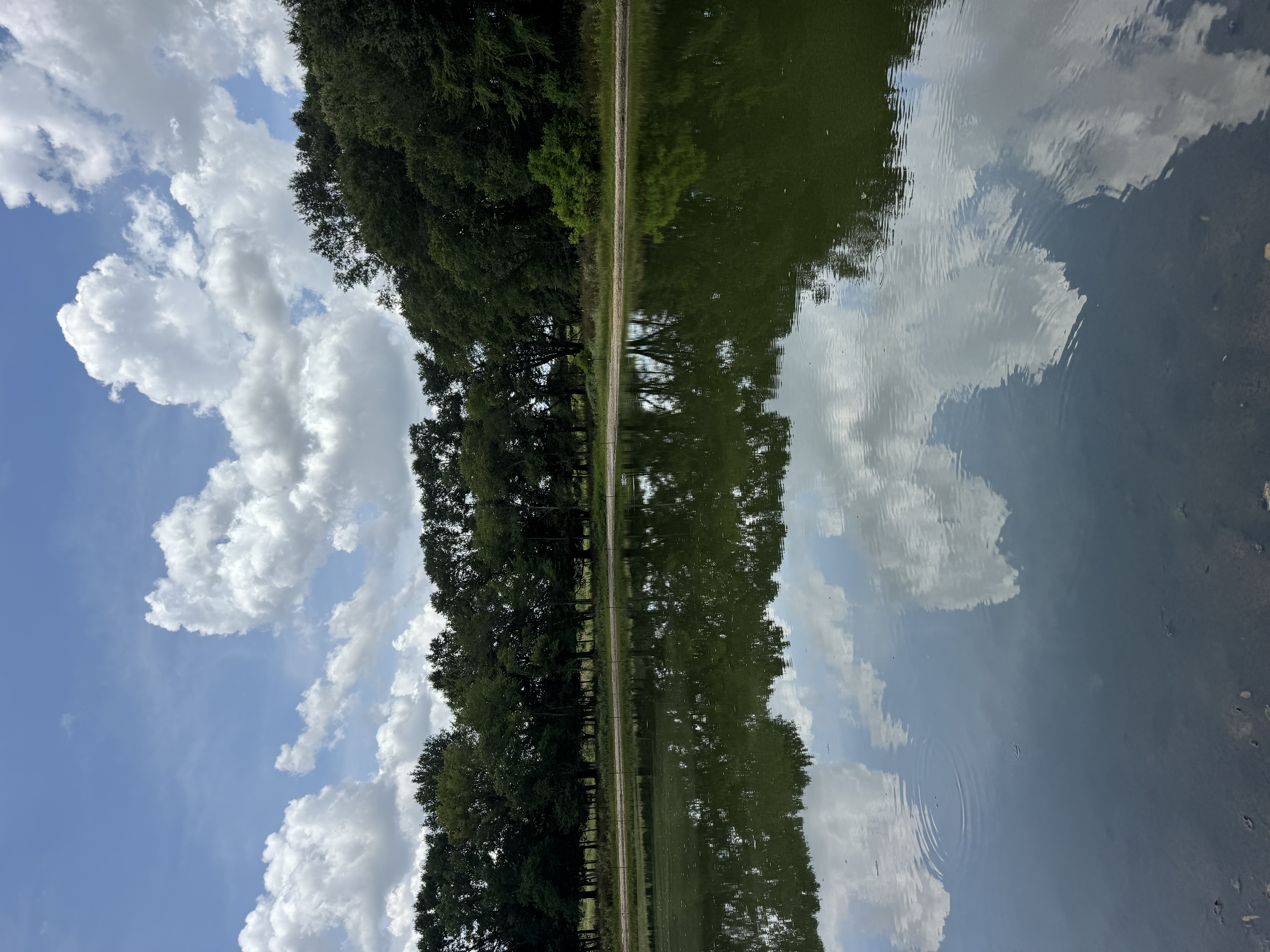Pond and mature trees on the Canton-area property